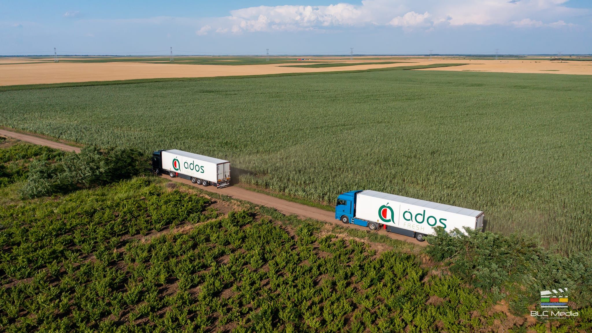 ADOS FRESH SRL logo