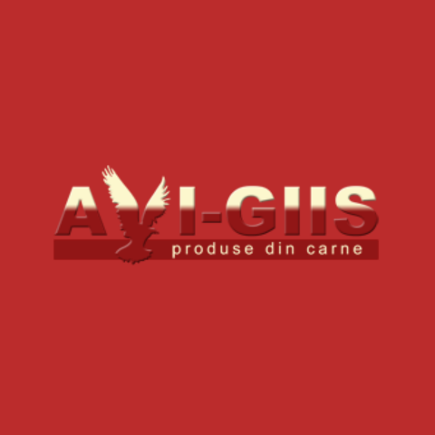 AVI GIIS SRL logo