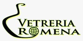 VETRERIA ROMENA SRL logo