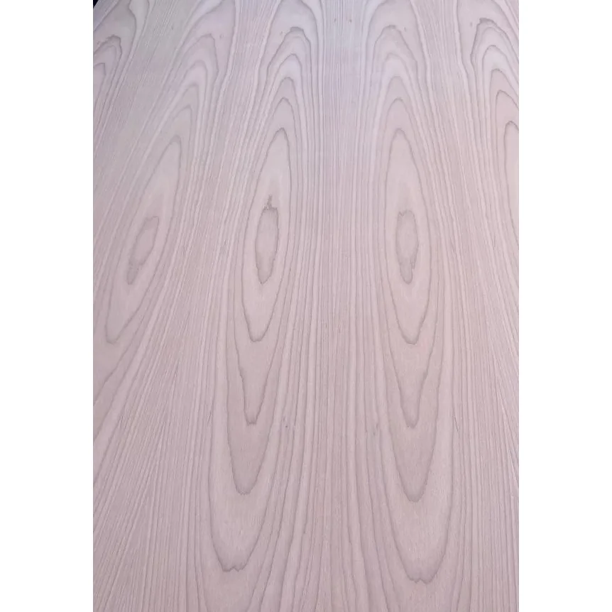 Eucalyptus Plywood Veneered with Beech – 2440x1220 mm, 4–18 mm thickness