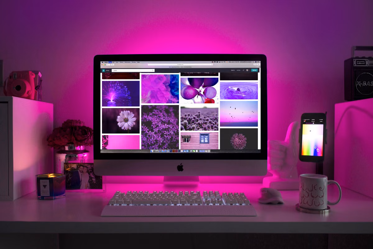 Web Design & Development