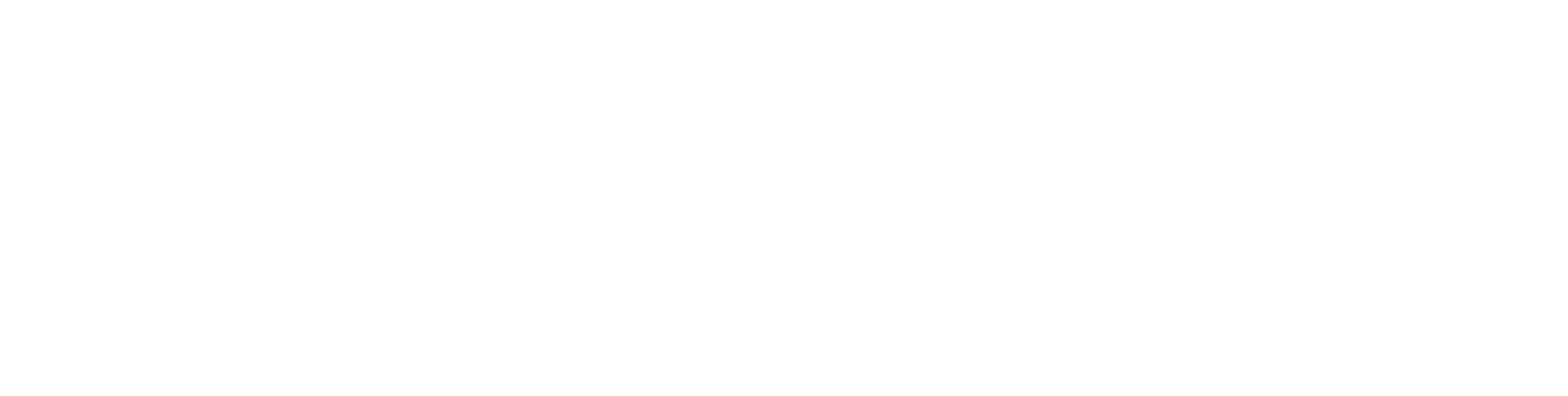 NION.ro Agency